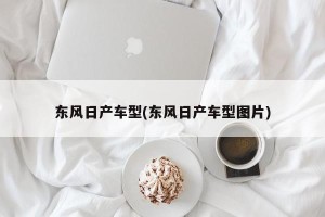 东风日产车型(东风日产车型图片)