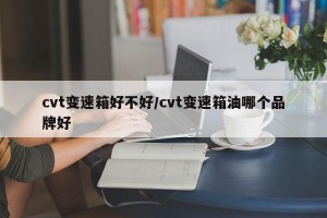 cvt变速箱好不好/cvt变速箱油哪个品牌好
