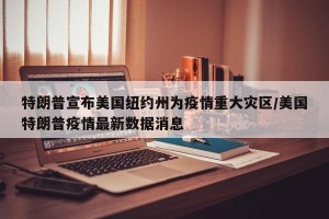 特朗普宣布美国纽约州为疫情重大灾区/美国特朗普疫情最新数据消息