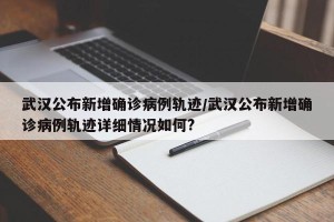 武汉公布新增确诊病例轨迹/武汉公布新增确诊病例轨迹详细情况如何?
